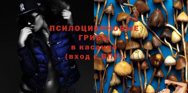 гашишное масло Богданович